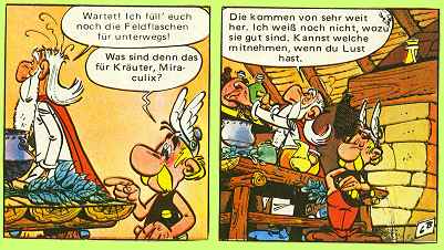 Asterix bei den Briten S. 10 Asterix bei den Briten S. 10