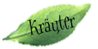 Verschiedene Pflanzen für Kräutertees und ihre Wirkung